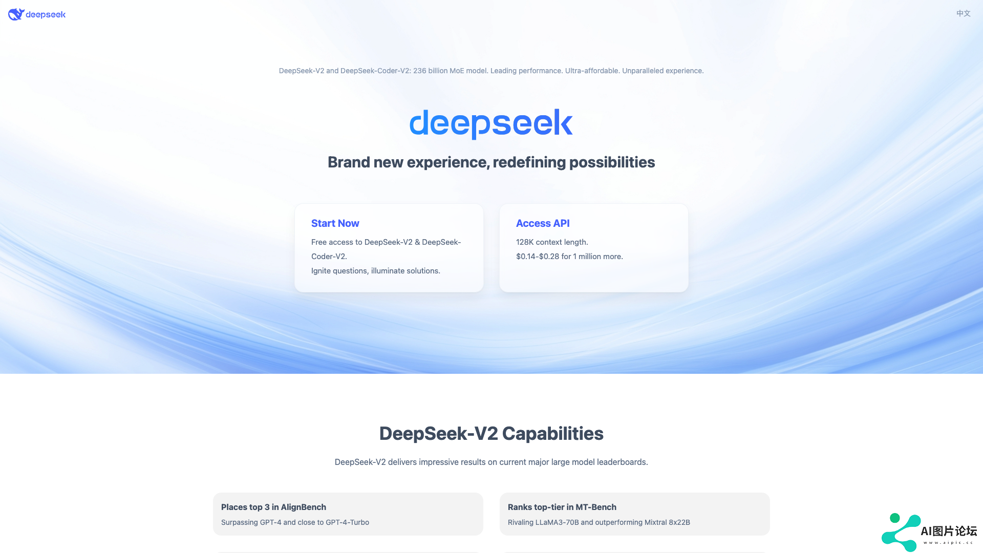 DeepSeek主页截图