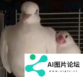 谷歌爆款学习神器更新，一键插嘴AI对话，哪里不会问哪里
