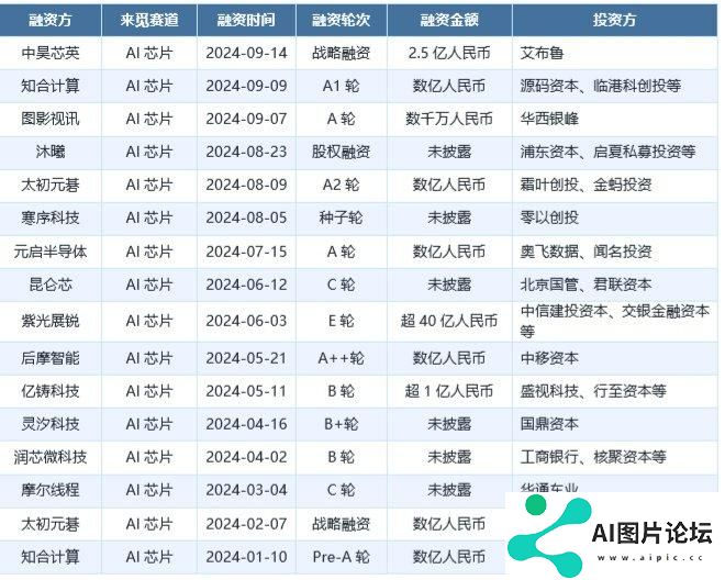 一半是海水，一半是火焰，国产AI芯片路在何方