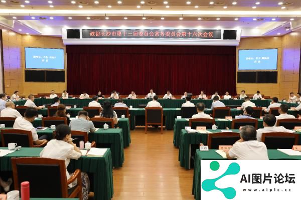 建言打造人工智能长沙高地 长沙市政协召开专题议政性常委会