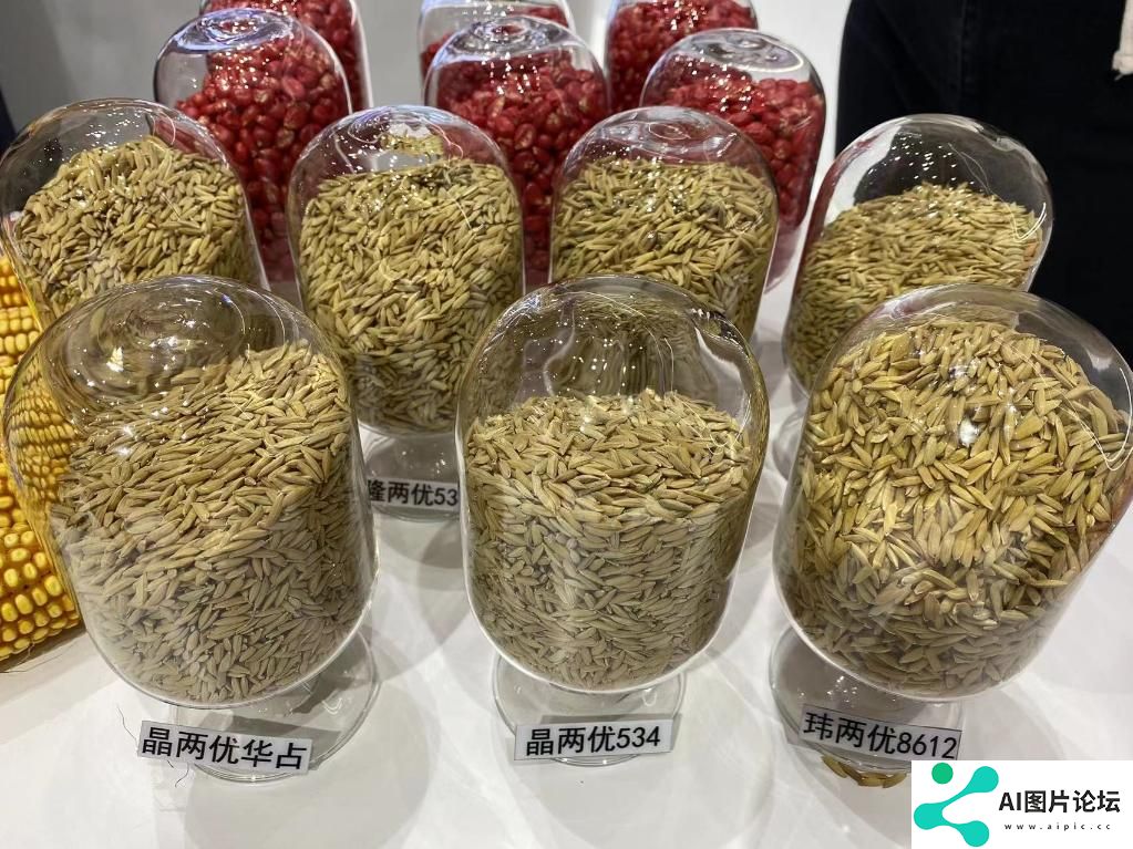 世界人工智能大会报道：“一碗好饭”背后的人工智能