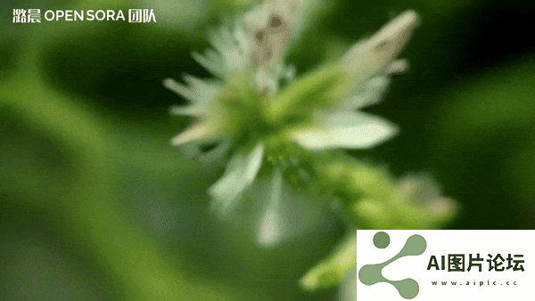 支持无缝产出任意风格的高质量短片，并且全部开源。